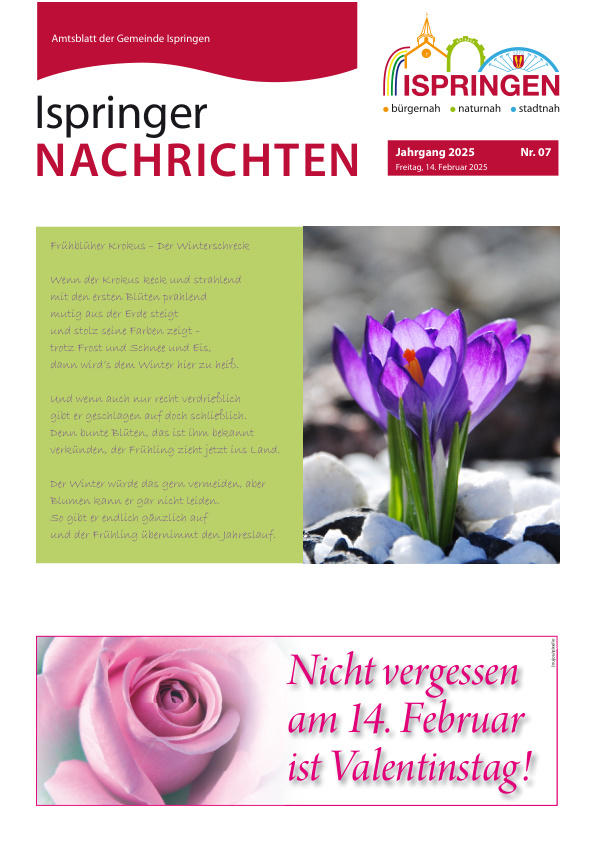 Mehr über den Artikel erfahren Ispringen KW 7