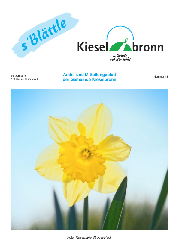 Mehr über den Artikel erfahren Kieselbronn KW 13