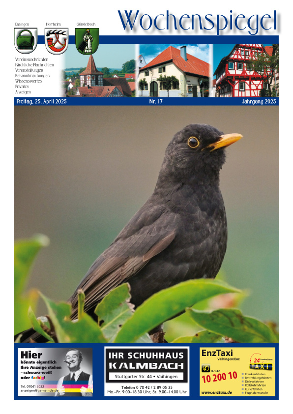 Mehr über den Artikel erfahren Ensingen/Horrheim/Gündelbach KW 17