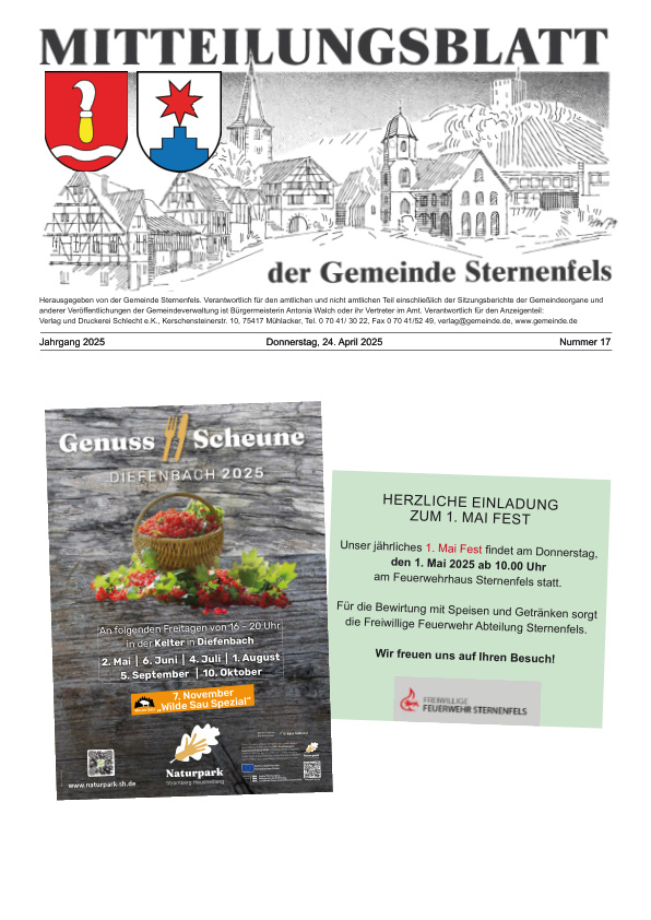 Mehr über den Artikel erfahren Sternenfels KW 17