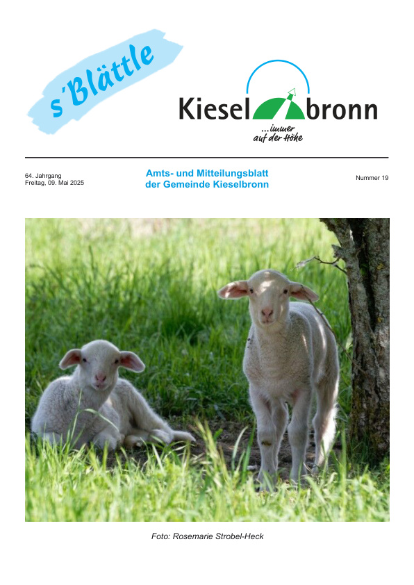 Mehr über den Artikel erfahren Kieselbronn KW 19