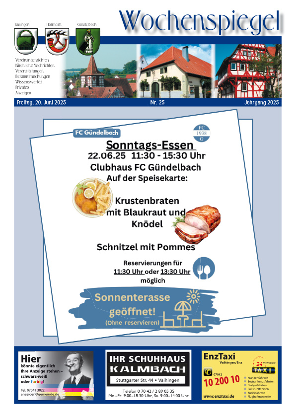 Mehr über den Artikel erfahren Ensingen/Horrheim/Gündelbach KW 25