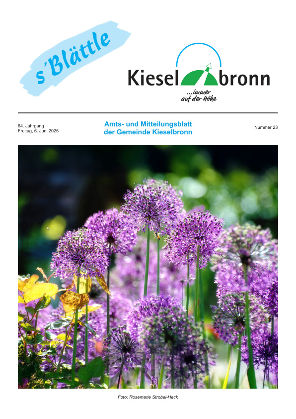 Mehr über den Artikel erfahren Kieselbronn KW 23