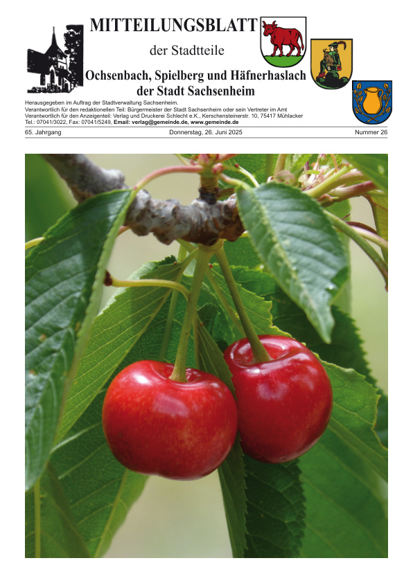 Mehr über den Artikel erfahren Ochsenbach/Spielberg/Häfnerhaslach KW 26