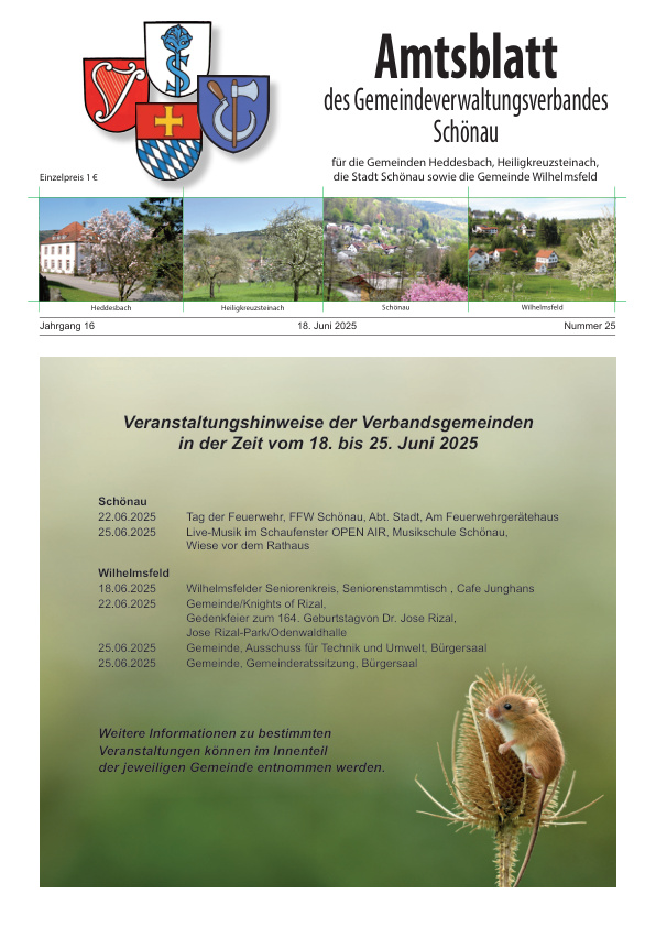 Mehr über den Artikel erfahren GVV Schönau KW 25