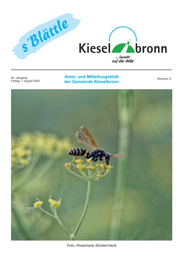 Mehr über den Artikel erfahren Kieselbronn KW 31
