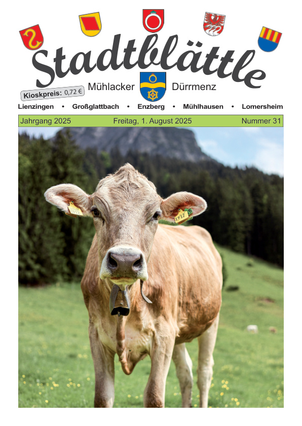 Mehr über den Artikel erfahren Mühlacker KW 31