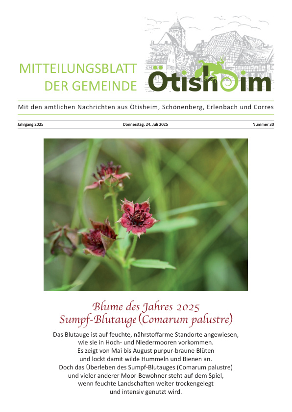 Mehr über den Artikel erfahren Ötisheim KW 30
