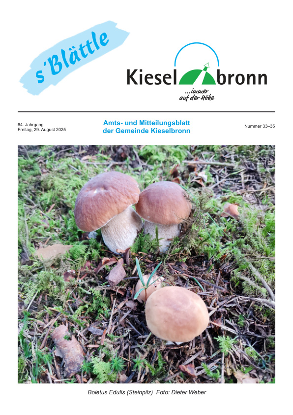 Mehr über den Artikel erfahren Kieselbronn KW 35