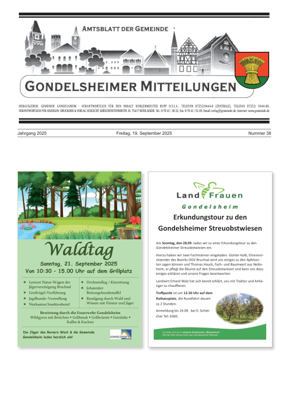 Mehr über den Artikel erfahren Gondelsheim KW 38