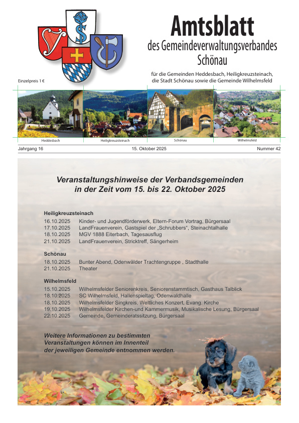 Mehr über den Artikel erfahren GVV Schönau KW 42