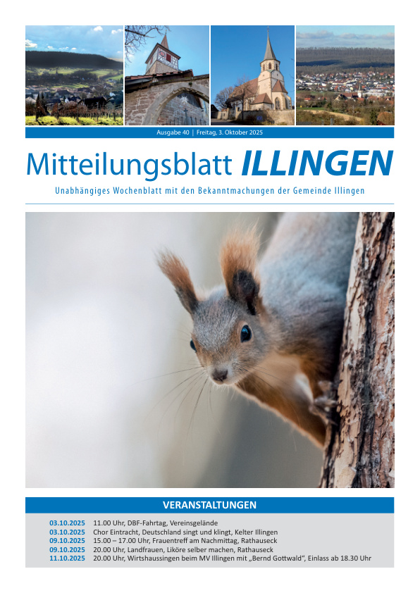 Mehr über den Artikel erfahren Illingen KW 40