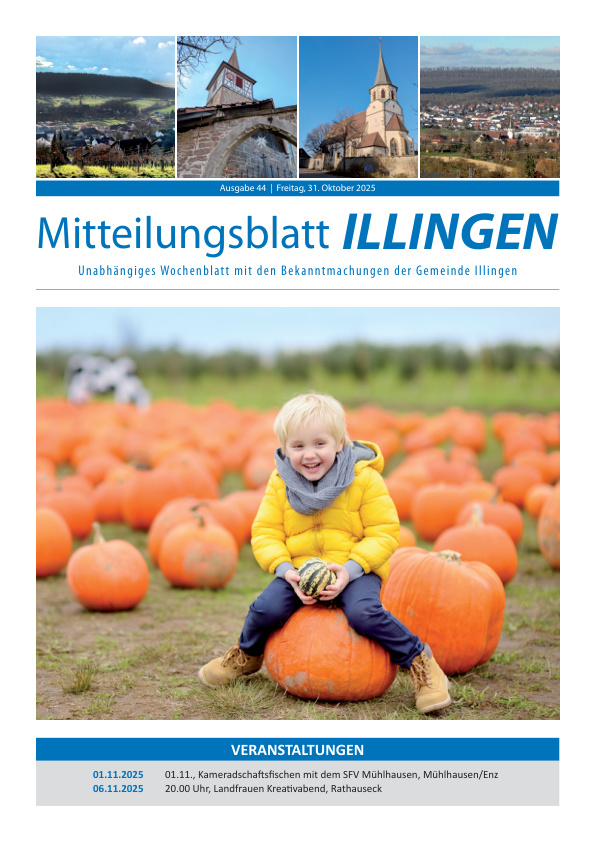 Mehr über den Artikel erfahren Illingen KW 44