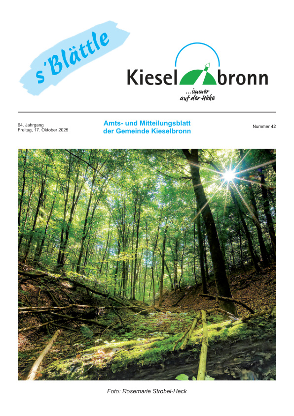 Mehr über den Artikel erfahren Kieselbronn KW 42