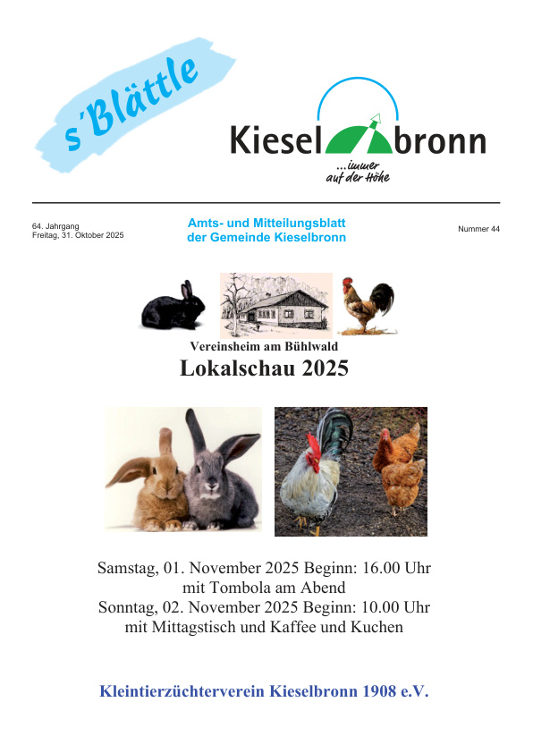 Mehr über den Artikel erfahren Kieselbronn KW 44